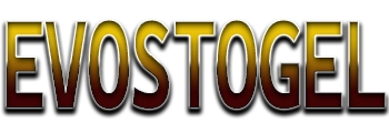 Logo Evostogel